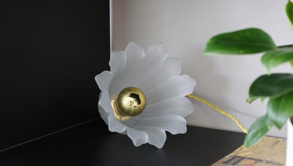 TULIPE