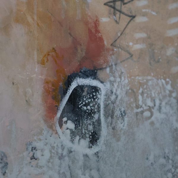 RESURGENCE-Peinture-Fanny-GOUBE-4
